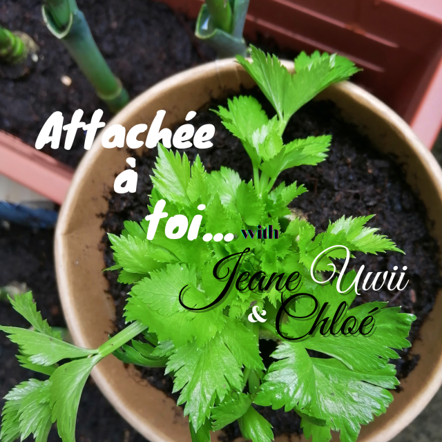 Attachée à Toi — Jeane Uwii